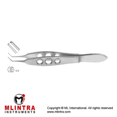 Kelman-McPherson Tissue Forcep 1 x 2 Teeth Stainless Steel, 10 cm - 4" Jaw Length - Tip Size 8 mm - 0.3 mm Kelman-McPherson Tissue Forcep 1 x 2 Teeth Stainless Steel, 10 cm - 4" Jaw Length - Tip Size 8 mm - 0.3 mm